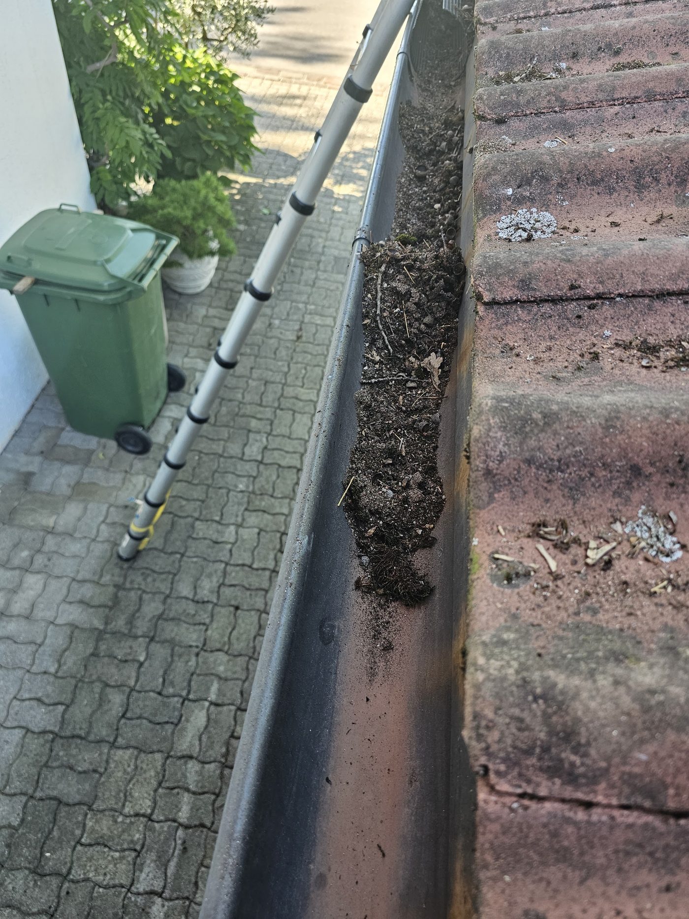 Dachrinne mit Laub auf einem Ziegeldach, daneben eine Teleskopleiter